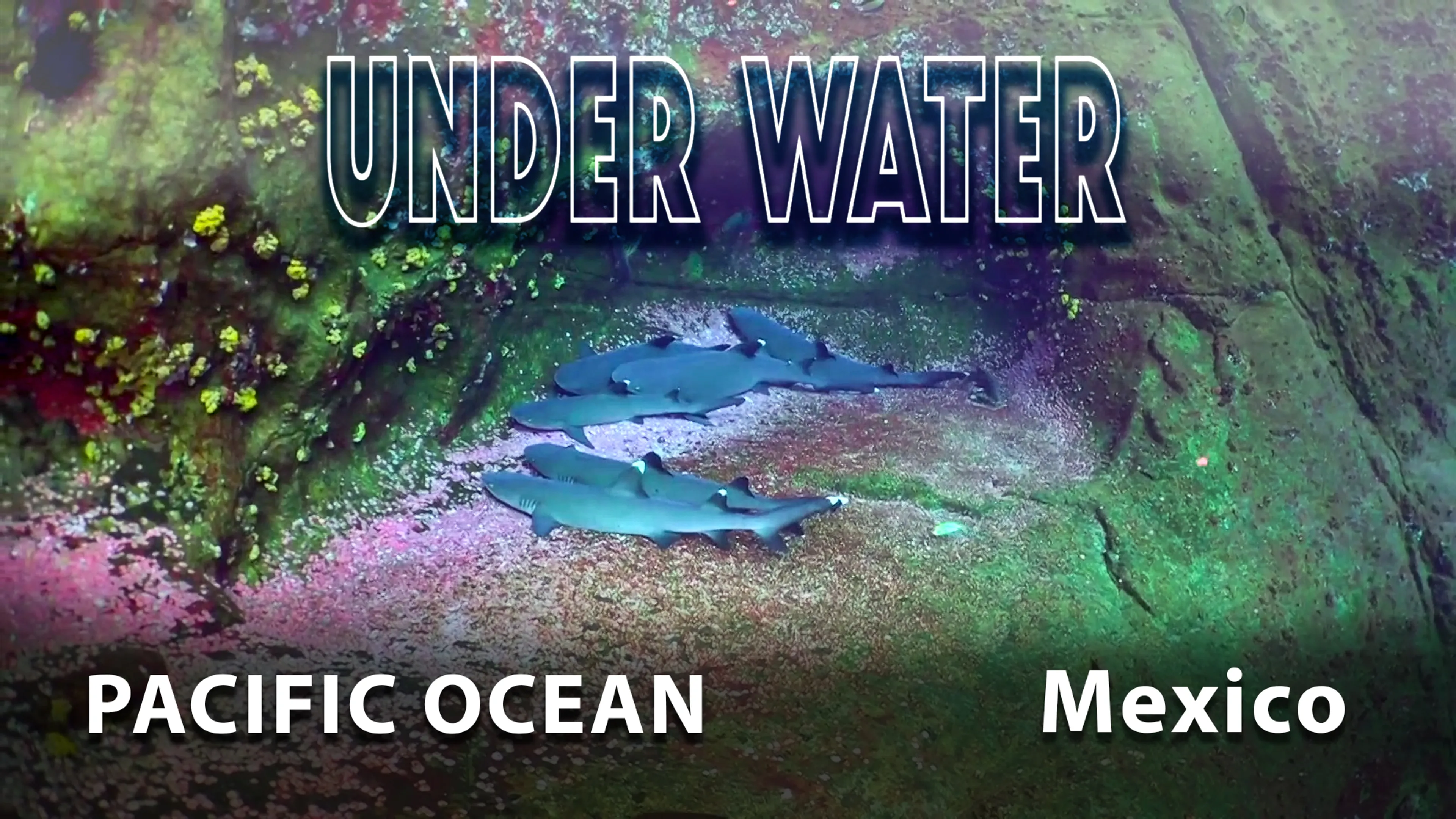 Under Water: Pacific Ocean, Mexico poster